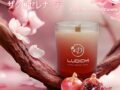 LUDICMI アロマキャンドル 300g 燃焼60時間 ザクロ