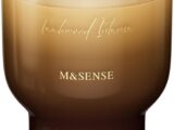 M&SENSE 焚き火の音がするアロマキャンドル木芯 270g 55時間 パチパチ音